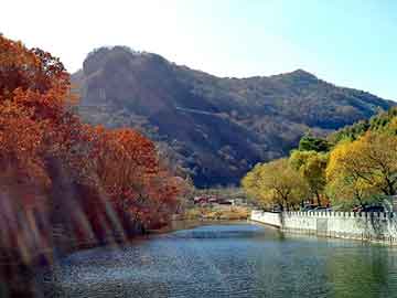 澳门天天免费精准大全，跆拳道太子妃